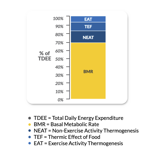 TDEE Graph