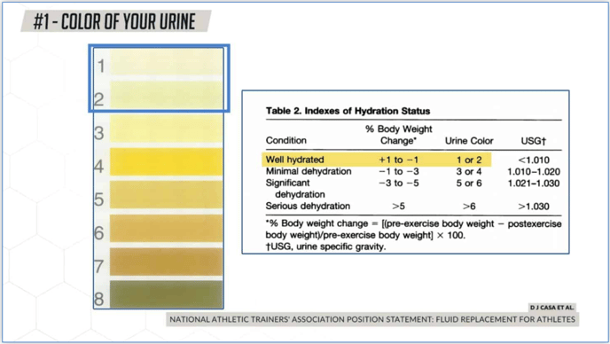 Urine 2000 Paper Image